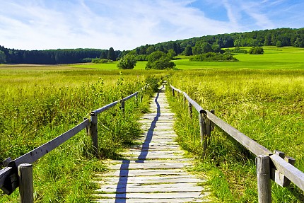 NEUE GRUPPE: Gruppencoaching für Berufstätige